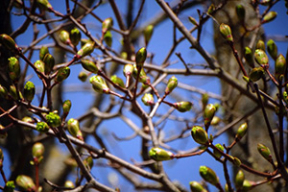 Погода в выходные: в субботу будет ветренно, ожидается до +24°С