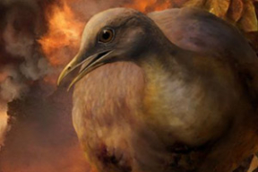 Как птицы пережили падение на Землю астероида