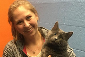 Как кот по кличке Беларусь нашел счастье в США