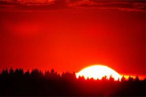 До +30°С и сухо. Прогноз на неделю