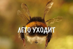 Фотожабы: «Стой! 400 рублей – нормальная зарплата»