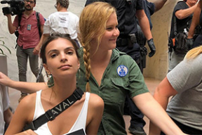 Голливудских «девушек без комплексов» задержали за участие в акции протеста