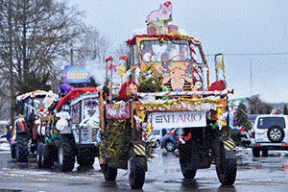 Креатив под Минском: белый  лимузин и тракторы, украшенные свиньями, прокатили Дедов Морозов и Снегурочек