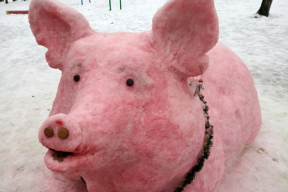 Праздничные фотожабы: «Пусть в Новом году у вас будет немало бабла…»