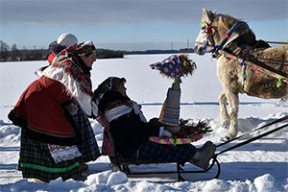 Як ў вёсцы Новіны «Цягнуць каляду на дуба»