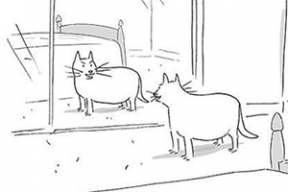 Отличный план на год в одной картинке