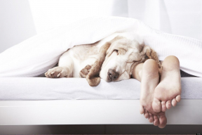 7 бодрых фактов о снах