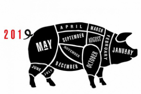 Цеслер. Календарь-свинья