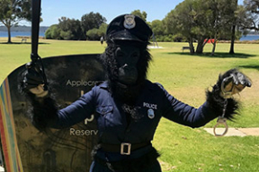 Австралийка в костюме гориллы помогла поймать извращенца