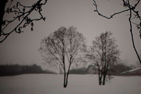 Монохромная меланхолия февраля