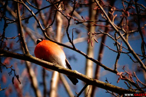 Март. Красивое начало