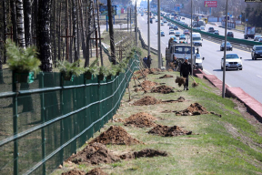 У Курапатах ізноў зносяць крыжы