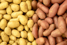 Как продать бульбу по 200 евро за килограмм