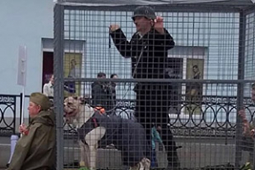 Дичь дня. В Нижнем Тагиле «фашиста» провезли в клетке с собаками