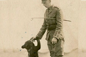 Винни-Пух был девочкой