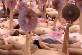 За свободу сосков. Десятки моделей оголились в центре Нью-Йорка в знак протеста