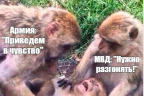 Фотожабы: «Вот это жара в Беларуси. Даже министры МВД плавятся»