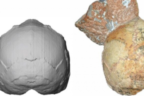 Обнаружены самые древние останки современных людей за пределами Африки