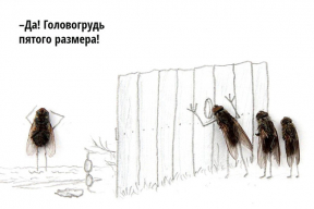 Скрепы по Дарвину: ученые нашли причину моногамии