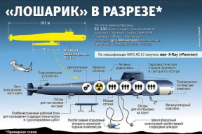 «Незаметно подбирается к самым охраняемым объектам». Что известно о сгоревшей подлодке