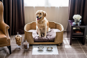 Как себя вести в отеле