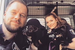 «Мимимишный» инстаграм полиции Берлина: приколы, дети, птички-собачки