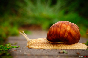 Як у казцы: туманная раніца ў старым горадзе