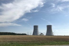 Как в Литве готовятся к открытию БелАЭС: правительство обещает выделить средства на йод в таблетках