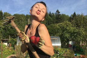 «Страна перешла к национальной эстафете». Как весело белорусы копают бульбу