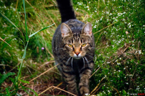 10 согревающих фото: в ожидании «бабьего лета»