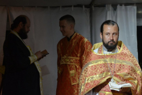 Реплика дня. «Ну не Дура наша Власть?»