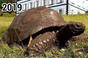 Джонни пережил 39 президентов США и ни одного президента Беларуси