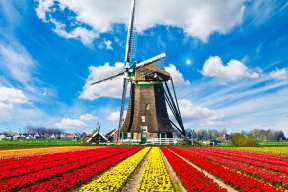 Одно официальное название. Нидерланды больше не будут «Голландией»