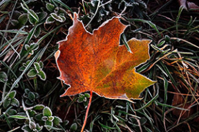 Холодное золото октября: 20 осенних фотографий