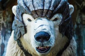 «Темные начала»: бронированные медведи удались. Почему надо смотреть