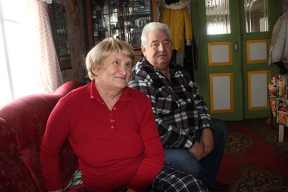 В Сенненском районе бешеный волк покусал женщину