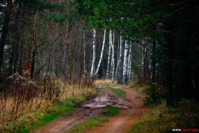 Как ноябрь готовится встречать зиму