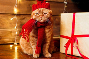 Как делать правильные подарки