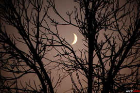 Однажды декабрьской ночью