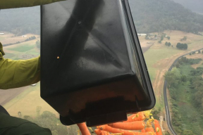 В Австралии с вертолетов сбросили тысячи килограммов овощей для пострадавших от пожаров животных