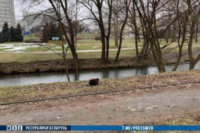 Подозреваемый в убийстве женщины, останки которой нашли в Свислочи, задержан