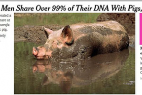 Обложка дня. ДНК мужчин на 99% совпадает с ДНК свиней (LOL)