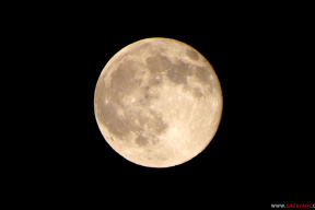 Фотофакт. Февральское суперлуние над Беларусью