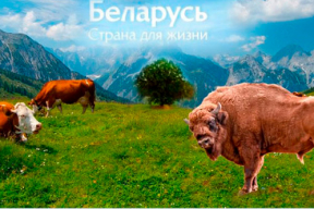 Фотожабы: «Цукерберг уничтожил наших лучших боевых троллей»