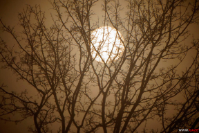 Однажды утром. Первый мартовский туман