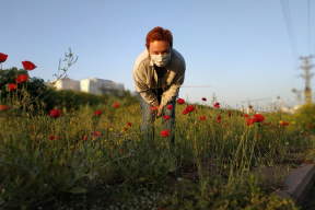 Анна Хитрик о карантине в Израиле: «Не могу привыкнуть к тому, что государство обо мне заботится»