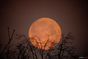 Ничто не вечно под суперлуной