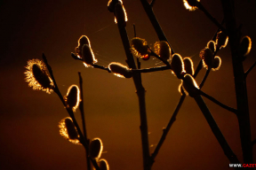 На закате. 7 фото, чтобы на время забыть о новостях