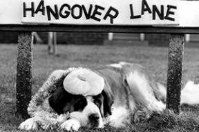 Как скрыть следы похмелья