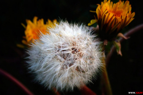 Словно и не месяц май. 12 суровых и красочных фото